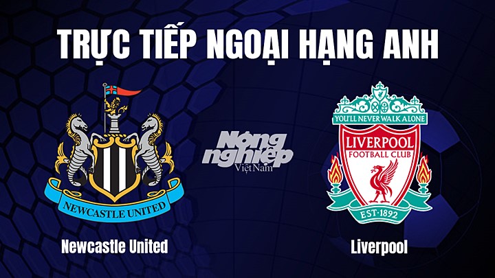 Trực tiếp bóng đá Ngoại hạng Anh giữa Newcastle United vs Liverpool ngày 19/2/2023