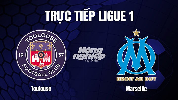 Trực tiếp bóng đá Ligue 1 (VĐQG Pháp) 2022/23 giữa Toulouse vs Marseille hôm nay 20/2/2023