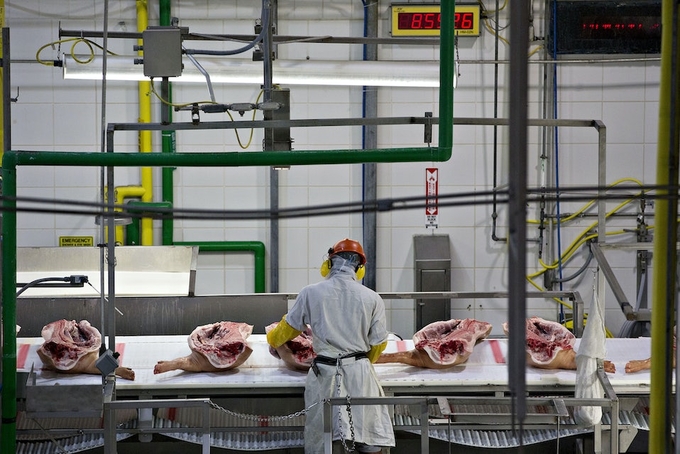 An employee handles sides of pork on a conveyor belt at a Smithfield Foods processing facility in Milan, Missouri, in 2017.