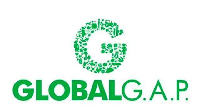 Chứng nhận GlobalGAP – 'chiếc vé lấn sân' các thị trường khó tính.