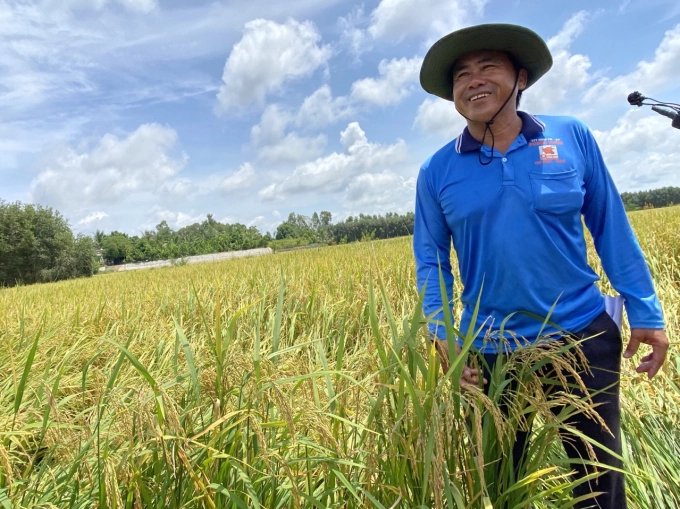 Nông dân Nguyễn Văn Đức vui mừng bên cánh đồng lúa bị mặn phèn, nhờ bón phân VL07 Gold mà đồng lúa cho trĩu bông, năng suất vượt trội. Ảnh: Đức Trung.