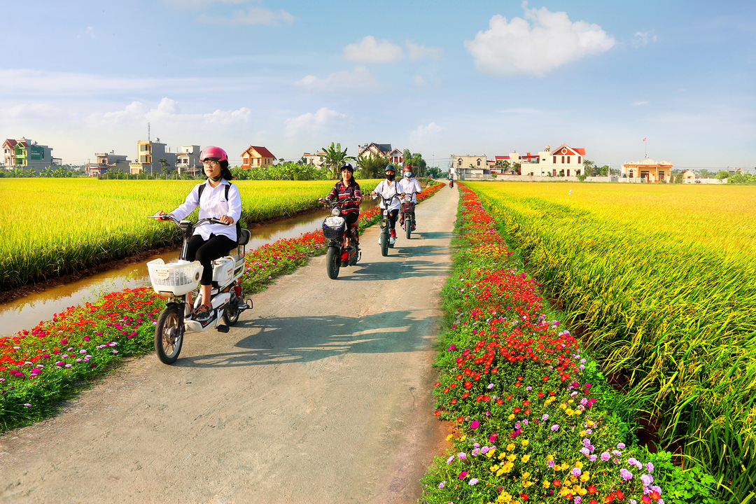 Nam Định là tỉnh đầu tiên trên cả nước đạt chuẩn nông thôn mới.