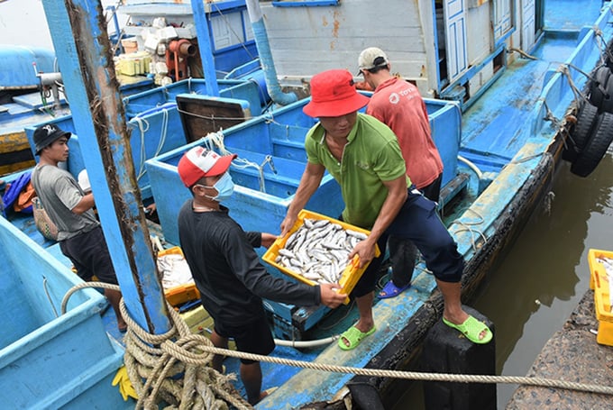 Venues must verify, certify and trace the origin of any seafood caught, in accordance with Department of Agriculture and Rural Development guidelines.  Photo: TL.