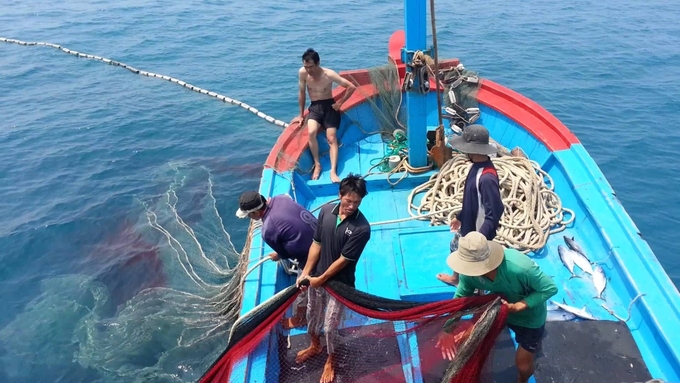 Vietnam has made positive changes in combating IUU fishing.