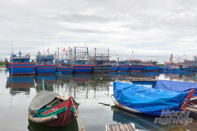 Trên 93% tàu hoạt động trên biển,chiều dài từ 15 m tại Quảng Trị được lắp thiết bị giám sát hành trình. Ảnh: VD.