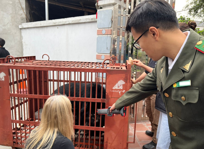 Tổ chức Động vật Châu Á đã thực hiện cứu hộ toàn bộ 5 cá thể gấu từ một hộ gia đình tại xã Phụng Thượng, huyện Phúc Thọ, TP. Hà Nội.