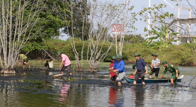 Các loại cây được lựa chọn trồng với tiêu chí tối ưu hóa hấp thụ lượng CO2, góp phần phủ xanh các khu vực đồi núi trọc, bảo tồn hệ sinh thái địa phương. Ảnh: TL. 