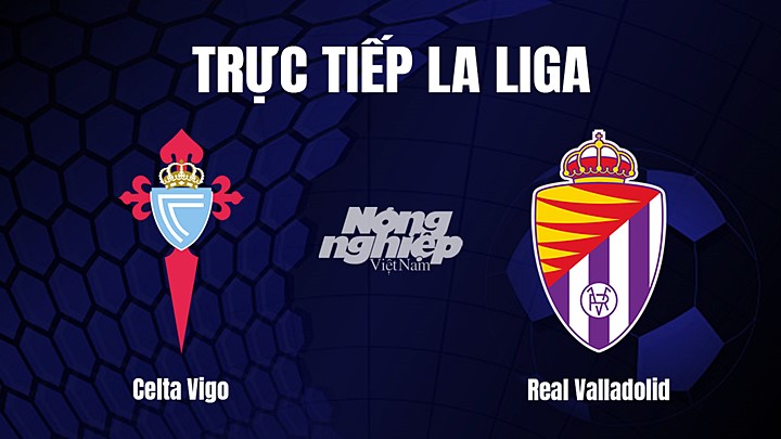 Trực tiếp bóng đá La Liga 2022/23 giữa Celta Vigo vs Real Valladolid hôm nay 26/2/2023