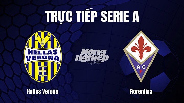 Trực tiếp bóng đá Serie A (VĐQG Italia) 2022/23 giữa Hellas Verona vs Fiorentina ngày 28/2/2023