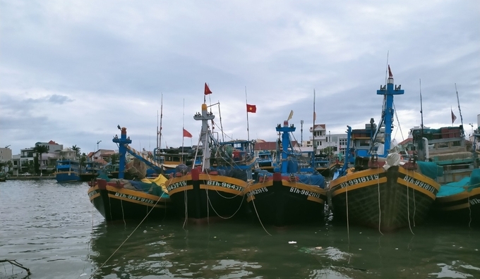 Bình Thuận có lượng tàu khai thác thủy sản trên biển tương đối lớn. Ảnh: KS.