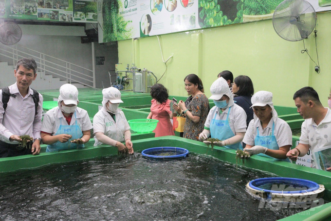 Đoàn công tác tham quan một đơn vị sản xuất sản phẩm rong nho nổi tiếng tại TP.Nha Trang, tỉnh Khánh Hòa. Ảnh: NT.