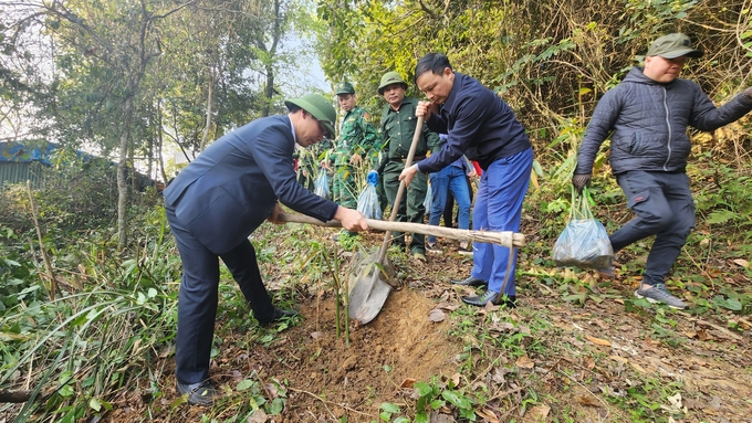 Ông Nguyễn Văn Thịnh, Phó chủ tịch UBND huyện Cao Lộc cùng người dân trồng tre ở biên giới. Mỗi hộ dân trồng khoảng 10-30 gốc tre theo giai đoạn. Không chỉ là 'hàng rào mềm' ở biên giới, mà mô hình Lũy tre Việt còn mang lại hiệu quả kinh tế với việc cho măng để bán. Trước đó, đồn Biên phòng Ba Sơn, Lạng Sơn cũng tổ chức trồng tre ở khu vực biên giới. 