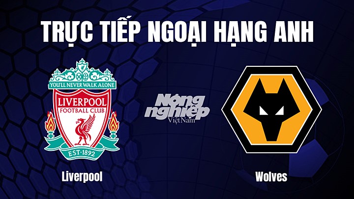 Trực tiếp bóng đá Ngoại hạng Anh giữa Liverpool vs Wolves hôm nay 2/3/2023