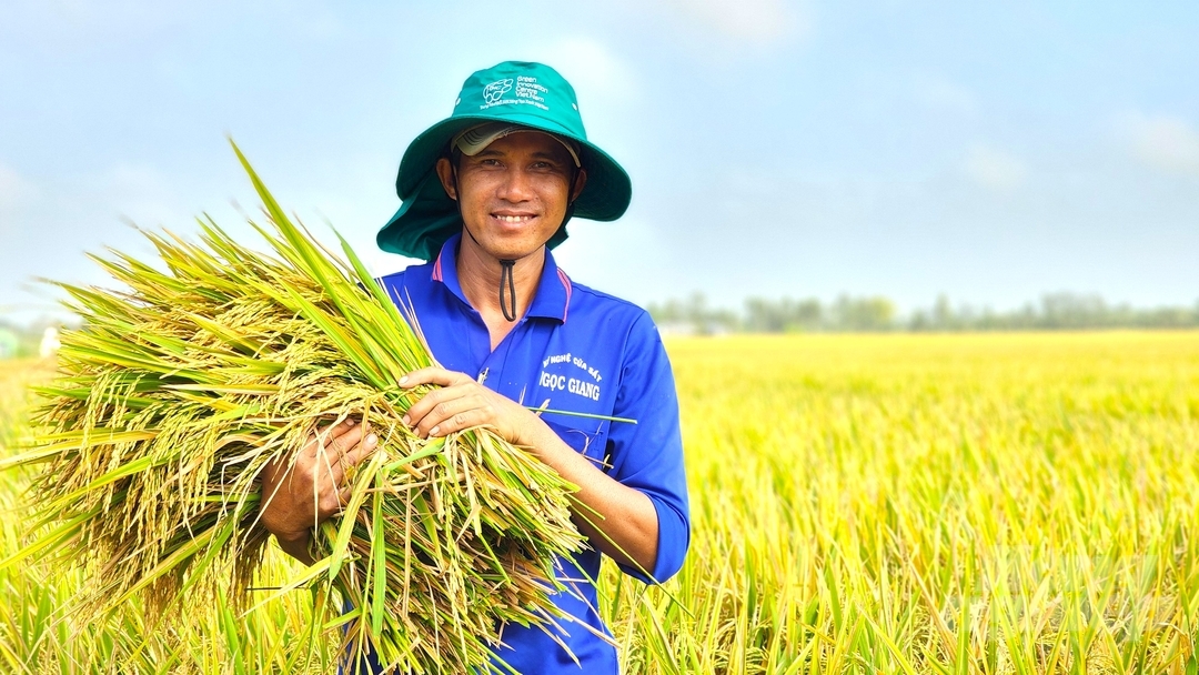 Nhóm có chức năng hỗ trợ phát triển ngành lúa gạo theo hướng cạnh tranh cao, chất lượng, bền vững, gia tăng giá trị. Ảnh: Kim Anh.