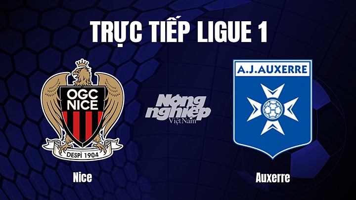Trực tiếp bóng đá Ligue 1 (VĐQG Pháp) 2022/23 giữa Nice vs Auxerre hôm nay 4/3/2023