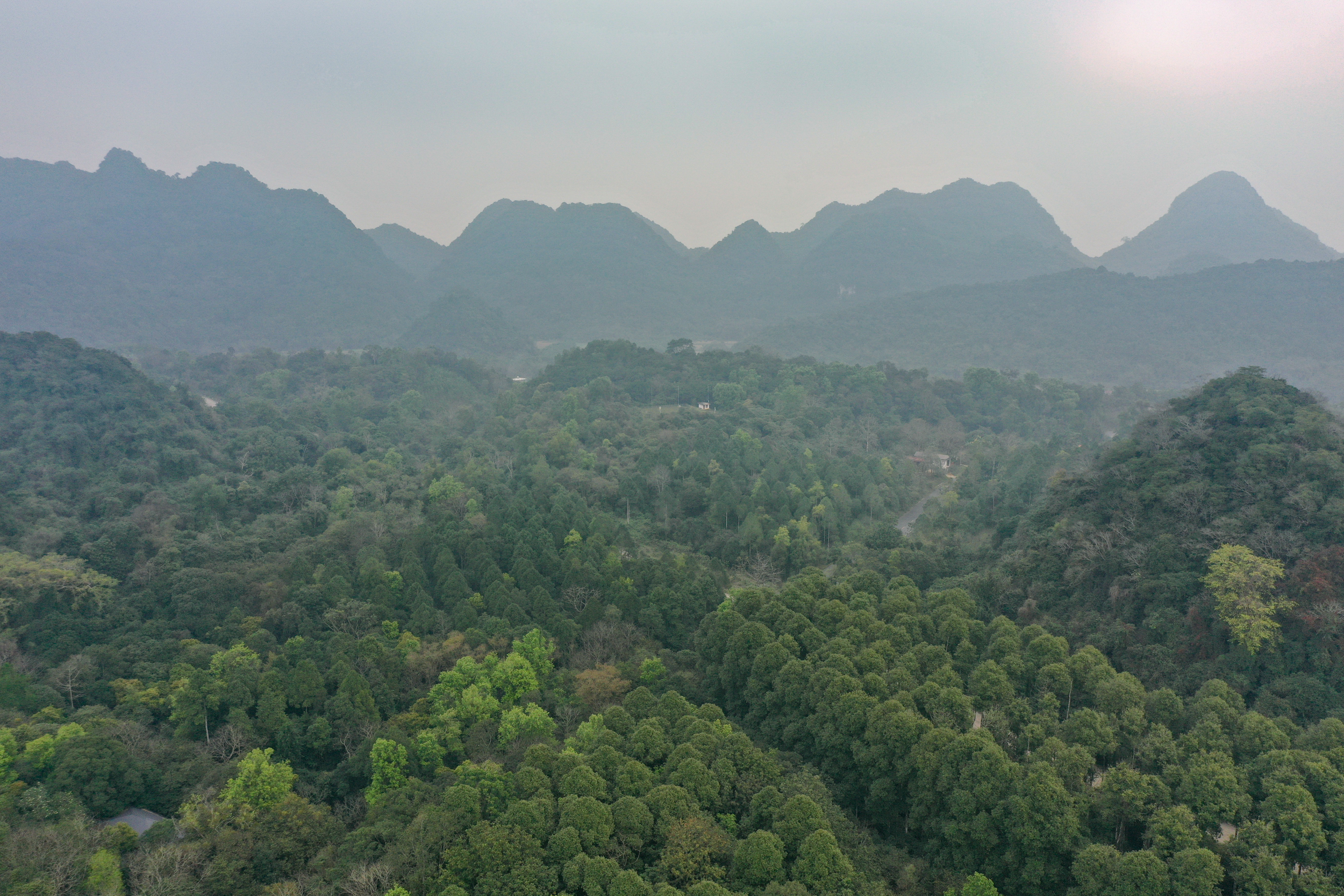 Vườn Quốc gia Cúc Phương là Vườn quốc gia đầu tiên của Việt Nam thực hiện nhiều sản phẩm du lịch có trách nhiệm với môi trường. Ảnh: Tùng Đinh.