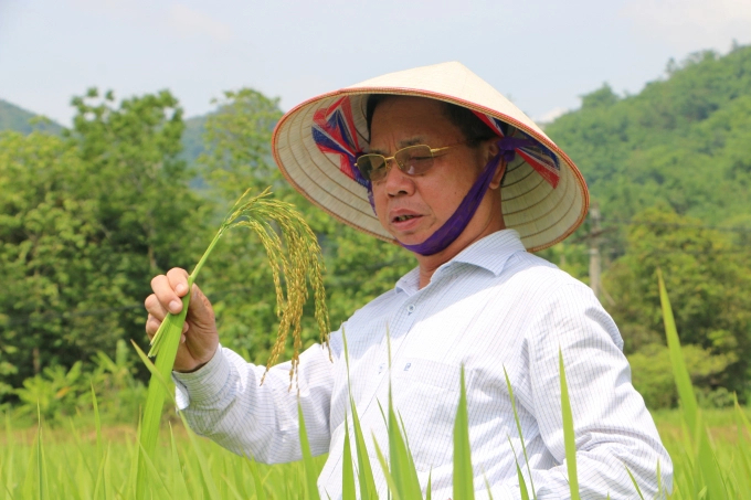 Ông Trần Mạnh Báo cho rằng, việc sản xuất và tiêu thụ lúa gạo của tỉnh Thái Bình trên thị trường vẫn còn nhiều bất cập và khó khăn, chưa tương xứng với tiềm năng và lợi thế của địa phương. Ảnh: Tùng Đinh.