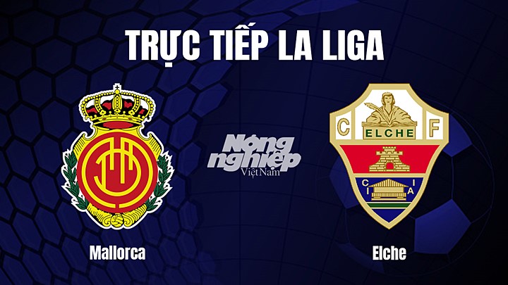 Trực tiếp bóng đá La Liga 2022/23 giữa Mallorca vs Elche ngày 5/3/2023