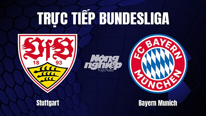 Trực tiếp bóng đá Bundesliga (VĐQG Đức) 2022/23 giữa Stuttgart vs Bayern Munich ngày 5/3/2023