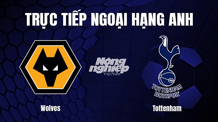 Trực tiếp bóng đá Ngoại hạng Anh giữa Wolves vs Tottenham hôm nay 4/3/2023