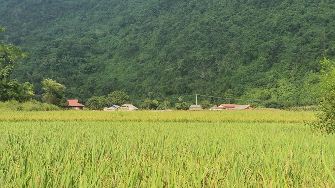 Những thay đổi, đièu chỉnh trong quản lý đất đai được đông đảo người dân quan tâm. Ảnh: Kiên Trung.