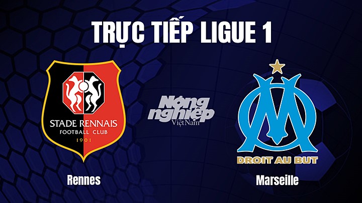 Trực tiếp bóng đá Ligue 1 (VĐQG Pháp) 2022/23 giữa Rennes vs Marseille hôm nay 6/3/2023