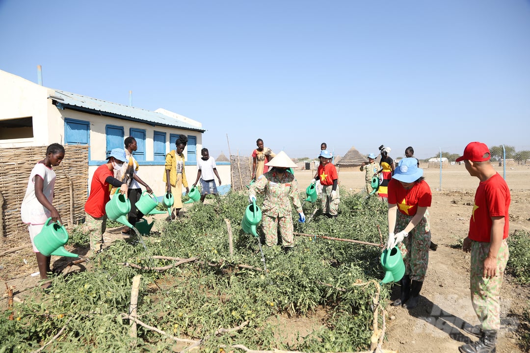 Chăm sóc rau xanh tại Trường cấp 3 Abyei. Ảnh: CGGHB.