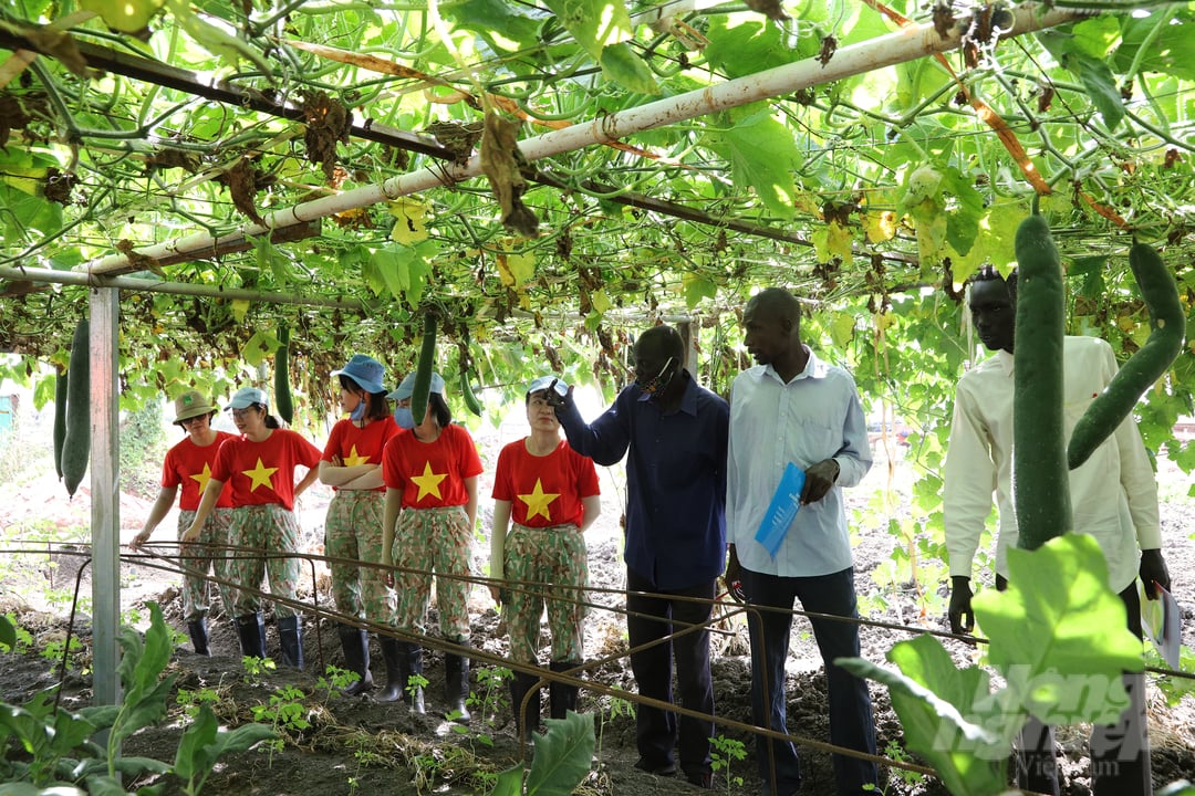 Hướng dẫn thầy trò trường cấp 3 Abyei trồng rau củ, quả. Ảnh: CGGHB.