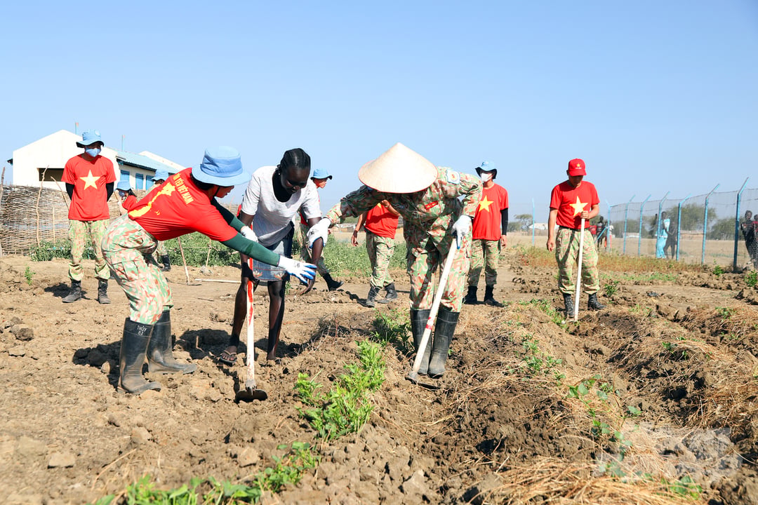 Các nữ chiến sĩ công binh Việt Nam hướng dẫn thầy trò trường Cấp 3  Abyei trồng rau. Ảnh: CGGHB.