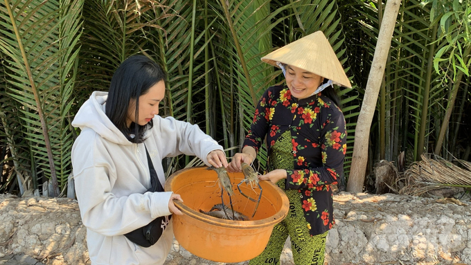 vietnams-shrimp-industry-sets-an-export-goal-of-at-least-43-billion-usd-111313_705.jpg Shrimp farming has many potential risks and challenges. Photo: Ho Thao.