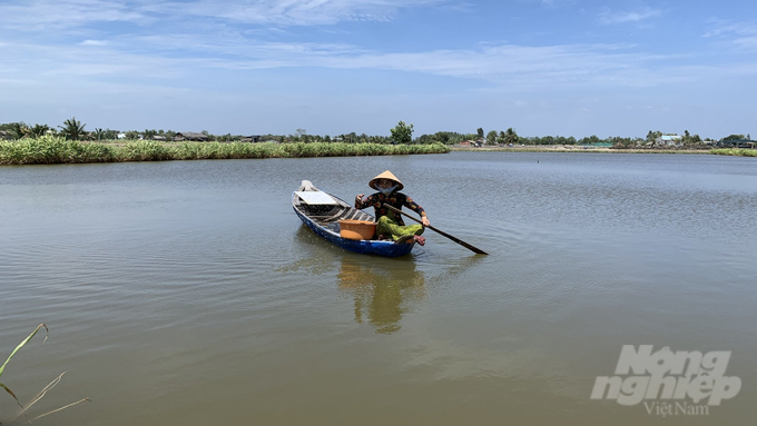 vietnams-shrimp-industry-sets-an-export-goal-of-at-least-43-billion-usd-121957_299.jpg Certified shrimp farming needs to be promoted. Photo: Ho Thao.