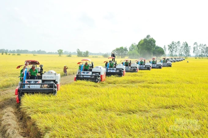 The 'Scheme for sustainable production of 1 million ha of high quality rice cultivation in the Mekong Delta' aims to increase the value of rice as well as farmer’s income, ensuring Vietnam’s commitment to achieving net-zero emissions by 2050.