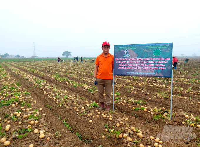 Nông dân HTX Dịch vụ nông nghiệp xã Bình Dương, huyện Đông Triều, tỉnh Quảng Ninh tham gia mô hình. Ảnh: Gia Bảo.