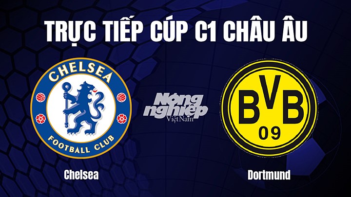 Trực tiếp bóng đá Cúp C1 Châu Âu giữa Chelsea vs Dortmund hôm nay 8/3/2023