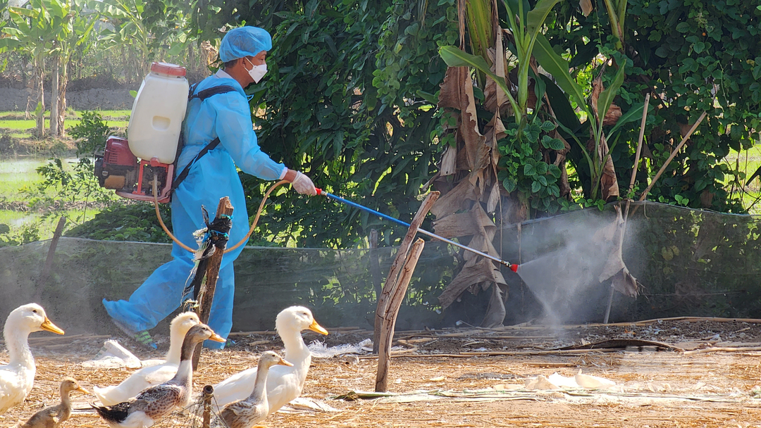 Từ ngày 6/3 - 3/4/2023, TP. Cần Thơ thực hiện tháng tổng vệ sinh tiêu độc khử trùng quy mô toàn thành phố. Ảnh: Kim Anh.