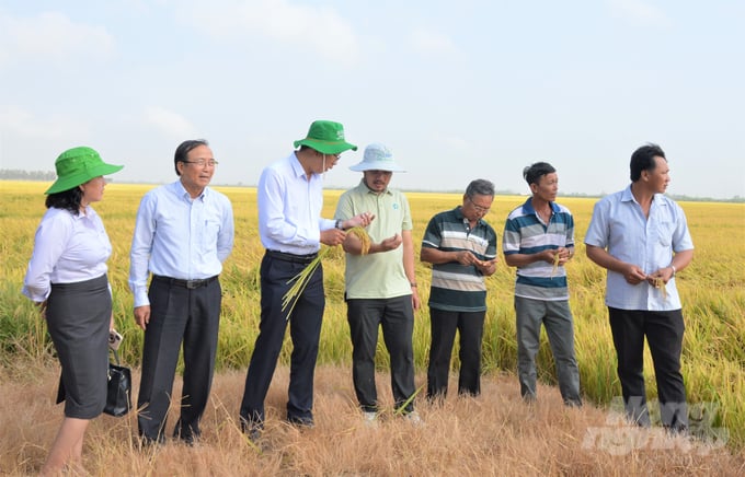 Trung tâm Khuyến nông Kiên Giang phối hợp với Dự án GIC Việt Nam tổ chức hội thảo đánh giá kết quả thực hiện mô hình canh tác lúa bền vững SRP tại huyện Tân Hiệp. Ảnh: Trung Chánh.