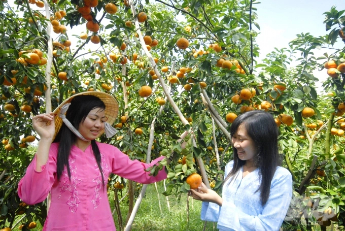 Du khách đến tham quan, chụp ảnh tại các sự kiện tại Lễ hội Quýt hồng Lai Vung. Ảnh: LHV.