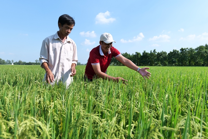 Anh Nguyễn Văn Phong chia sẻ cảm nhận sau thời gian trải nghiệm Incipio® 200SC.