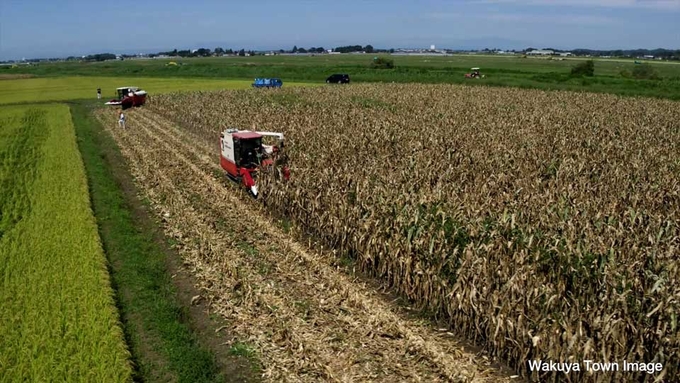 Four management bodies oversaw the first year of corn production, harvesting a total of 80 tons.