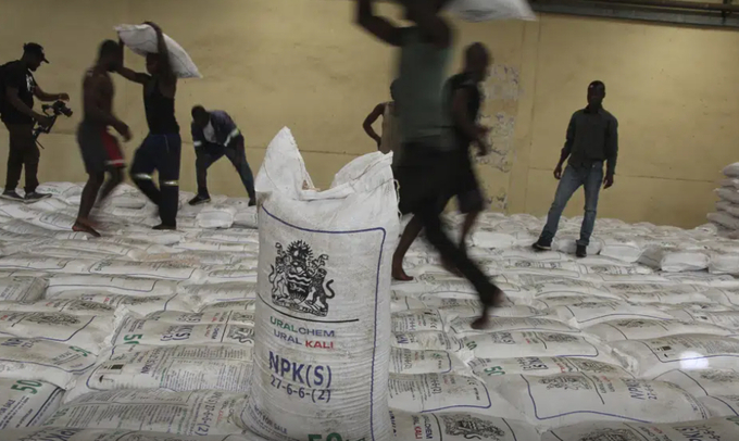 People collect bags of fertilizer in Lilongwe, Malawi, Monday March 6, 2023. The Russian government has donated 20,000 tons of fertilizer to Malawi as part of its efforts to garner diplomatic support from various African nations. Photo: AP 