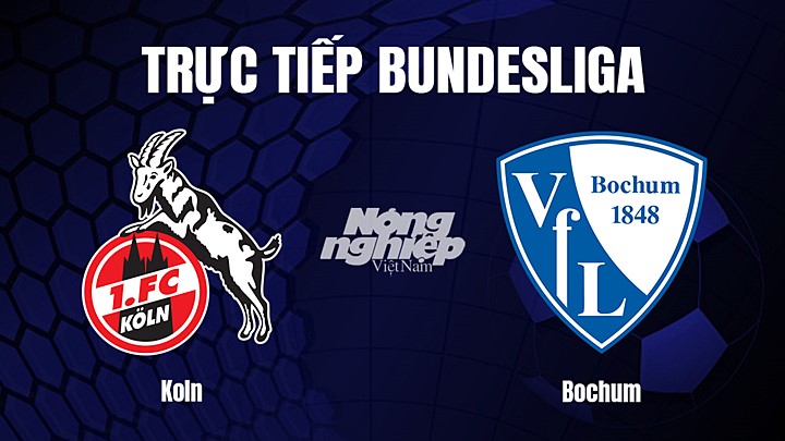 Trực tiếp bóng đá Bundesliga (VĐQG Đức) 2022/23 giữa Koln vs Bochum hôm nay 11/3/2023