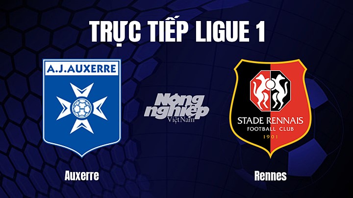 Trực tiếp bóng đá Ligue 1 (VĐQG Pháp) 2022/23 giữa Auxerre vs Rennes hôm nay 11/3/2023