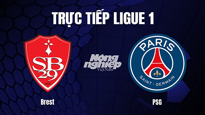 Trực tiếp bóng đá Ligue 1 (VĐQG Pháp) 2022/23 giữa Brest vs PSG hôm nay 12/3/2023