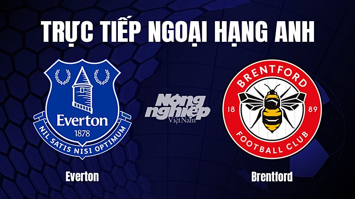 Trực tiếp bóng đá Ngoại hạng Anh giữa Everton vs Brentford hôm nay 11/3/2023