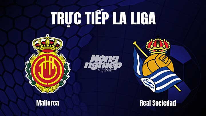 Trực tiếp bóng đá La Liga 2022/23 giữa Mallorca vs Real Sociedad hôm nay 12/3/2023