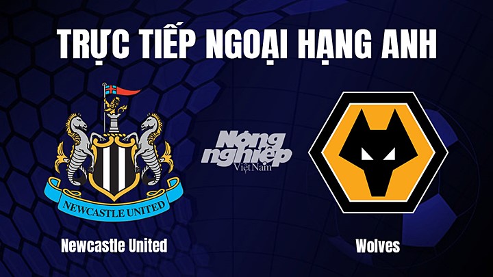 Trực tiếp bóng đá Ngoại hạng Anh giữa Newcastle United vs Wolves hôm nay 12/3/2023