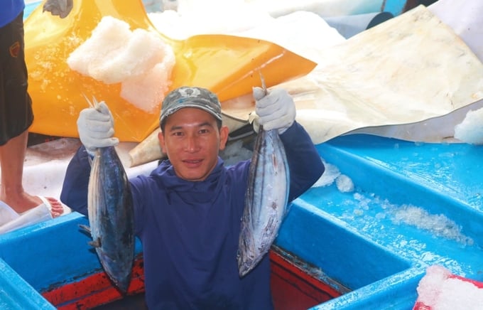 Hiện ngư dân Khánh Hòa cũng đã thay đổi tích cực tuân thủ các quy định của pháp luật khi tham gia khai thác thủy sản trên biển. Ảnh: KS.