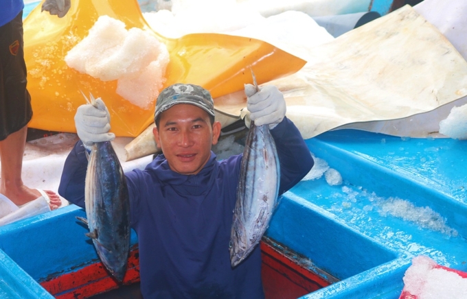 Khanh Hoa fishermen have made positive changes to comply with the provisions of the law when fishing at sea. Photo: KS.