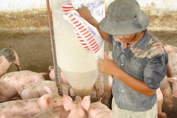 Giá thức ăn chăn nuôi tăng cao đang gây khó khăn lớn cho ngành chăn nuôi Đồng Nai. Ảnh: Sơn Trang.