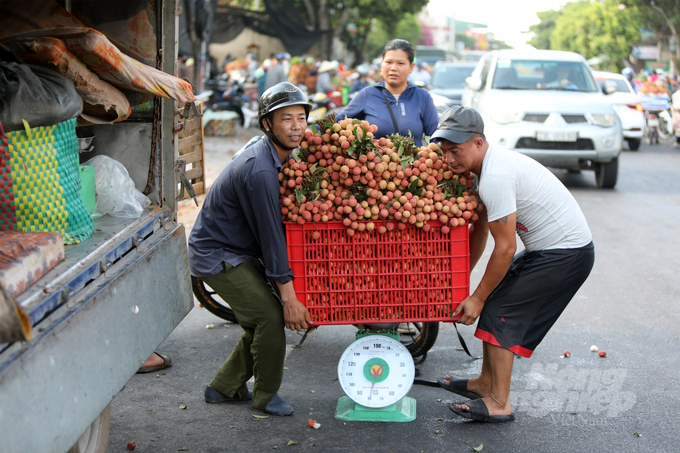 Thủ tướng Phạm Minh Chính cho rằng Hải Dương là một điểm sáng trong việc tổ chức lại sản xuất nông nghiệp theo chuỗi giá trị, có khả năng cạnh tranh cao với nhiều mặt hàng nông sản xuất khẩu ra thị trường thế giới như vải thiều, cà rốt, nhãn, rau, củ… Ảnh: Diệu Vy.